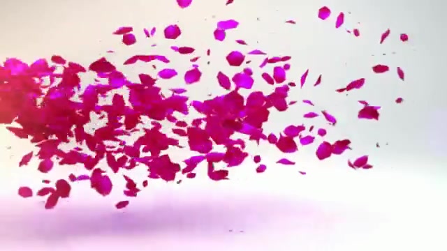 母狗珠珠颜射吞精集锦