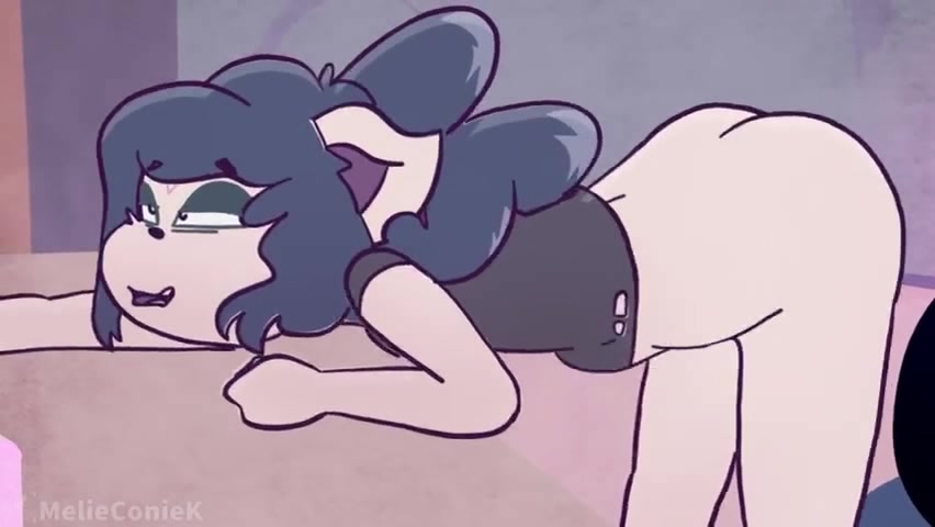 魔女猫猫的恶作剧