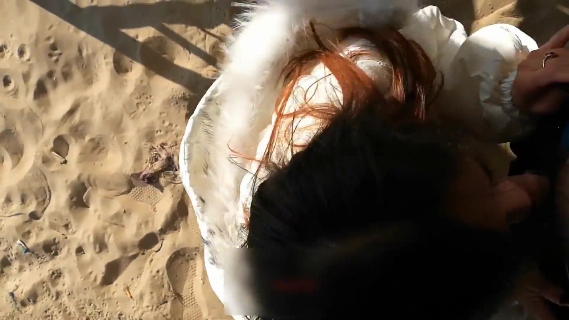 沿海某学院学生妹和男友海滩激情野战 脱掉内裤翘美臀后入直接无套插入爆操 国语对白 跪舔口爆 高清1080P版