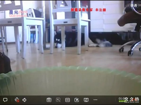 星光MM拉屎露屁眼重口秀