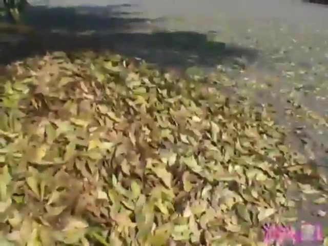 韓國美女酒店偷情被（偷拍）