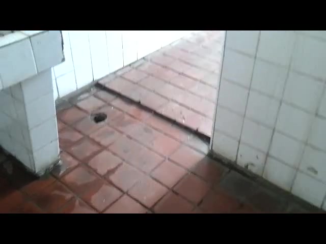 中学厕所的萝莉