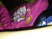 老婆穿白色丝袜坐上面扭动着 不停呻吟声很是诱人