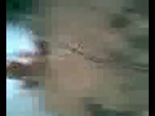 疯狂中学生拉女同学到野外强奸