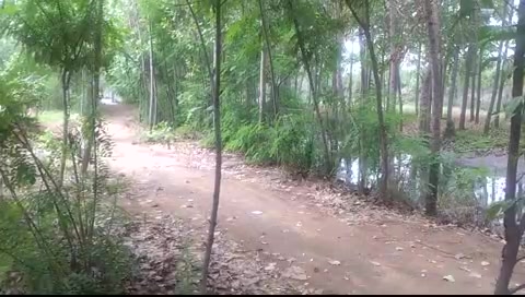 第一次野外很有感觉啊