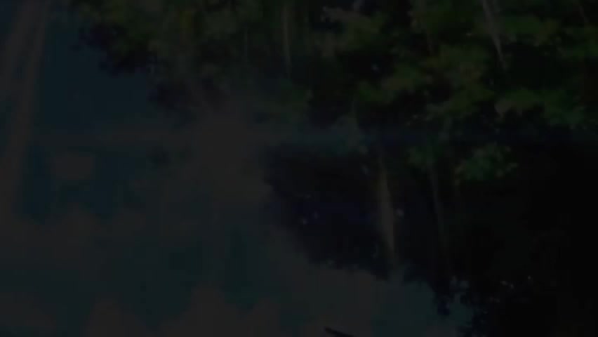 我的同居姐姐们