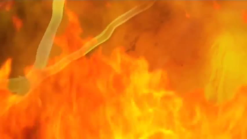 【黑棋霉】恋騎士