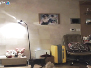 李秀彬 珍藏版05