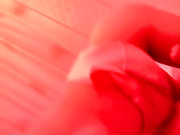 鸡店漂亮中国鸡