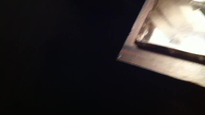 李宗瑞与victoria