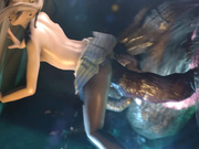 [夜桜字幕组][160727][St