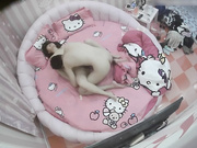 情趣酒店水滴摄像头监控TP考完试出来放松的情侣看她俩玩的样子学问很高深啊