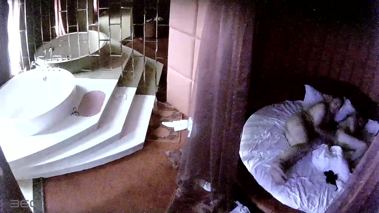 情趣酒店水滴摄像头TP胖哥带着逼毛很浓密性感的情人开房啪啪